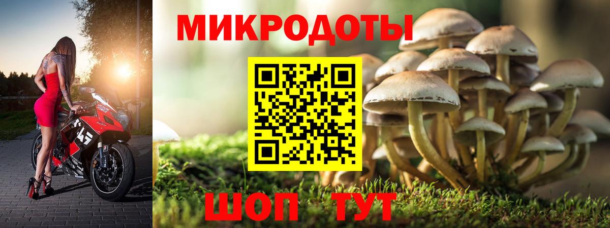 Галлюциногенные грибы прущие грибы  Вход с VPN  Псилоцибиновые грибы мухоморы  Майкоп 