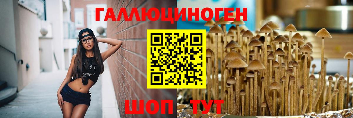 Псилоцибиновые грибы MAGIC MUSHROOMS Майкоп